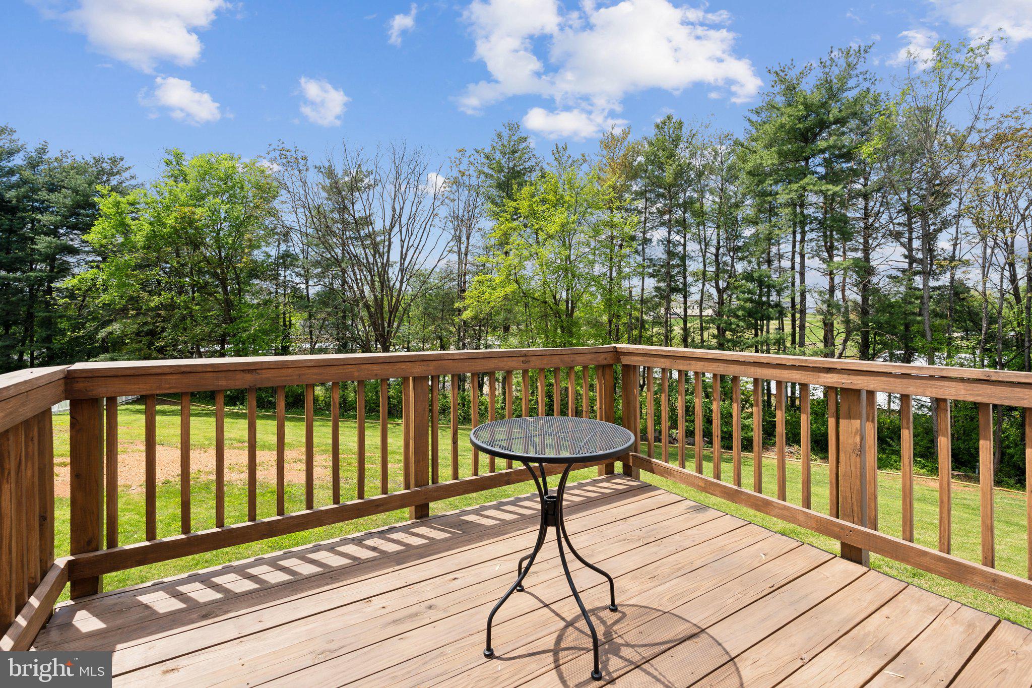 220 Lamphier Street Culpeper, VA 22701 - Photo 41 of 51 a view of a two chairs on the roof deck