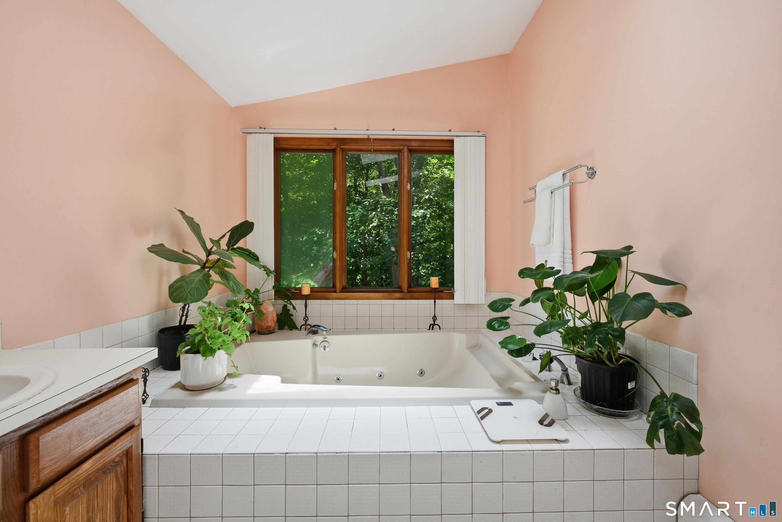 19 Hi Barlow Road Newtown, CT 06470 - Photo 20 of 40