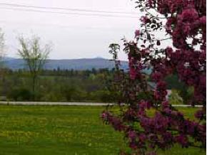 223 Field Days Road Weybridge, VT 05753 - Photo 11 of 12