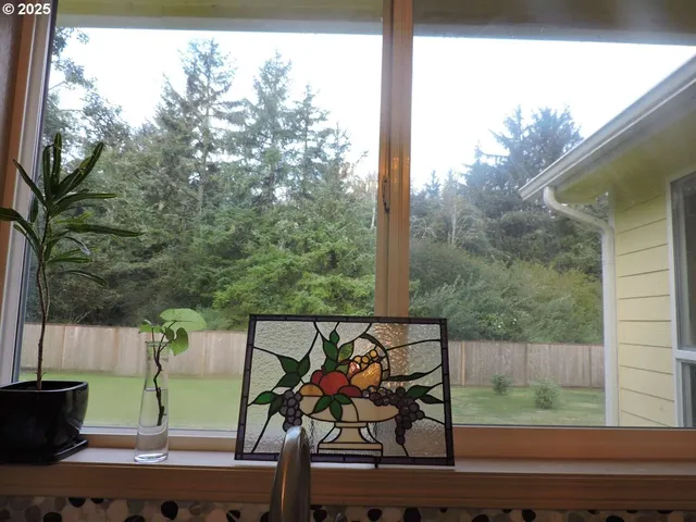 a view of a backyard