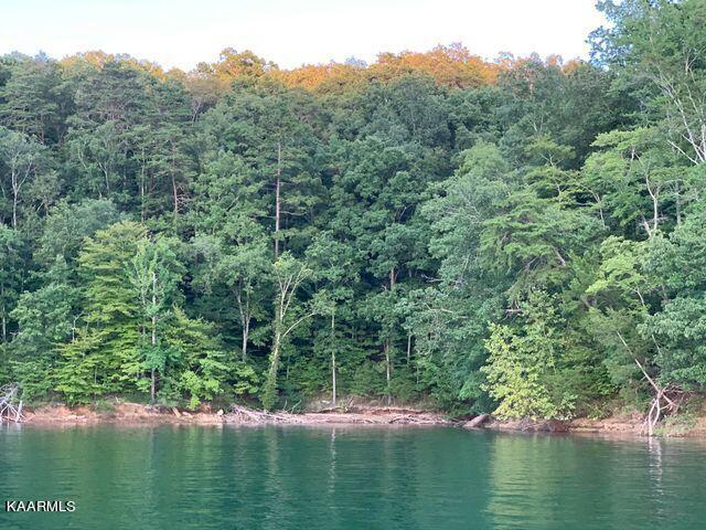 Grandpa's Ridge Sharps Chapel, TN 37866 - Photo 1 of 7 View from the lake