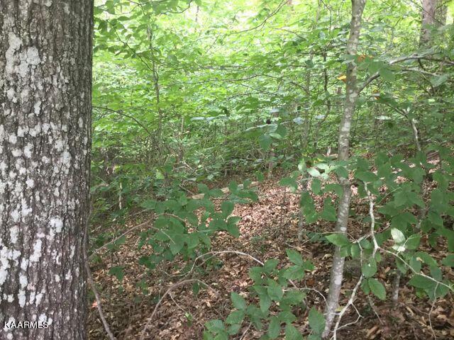 Grandpa's Ridge Sharps Chapel, TN 37866 - Photo 3 of 7 Street level