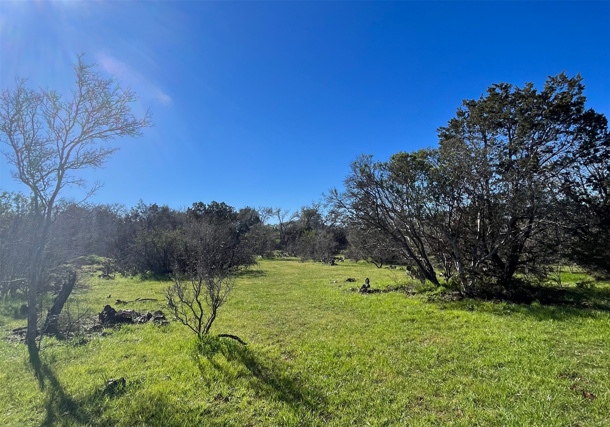 2013 Hilliard Road San Marcos, TX 78666 - Photo 9 of 37 Mostly flat, partially cleared, with large oaks throughout.