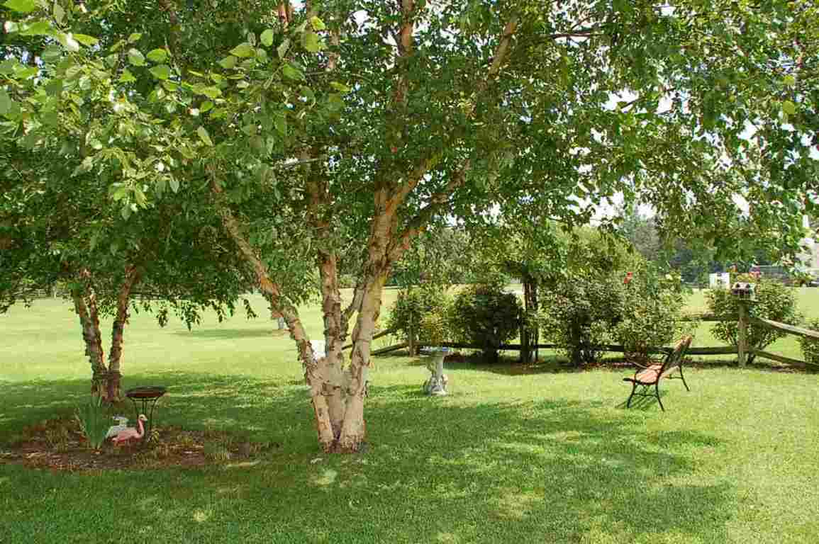 360 Whetstone Road Mountain Rest, SC 29664 - Photo 7 of 36 Gallery Image 7