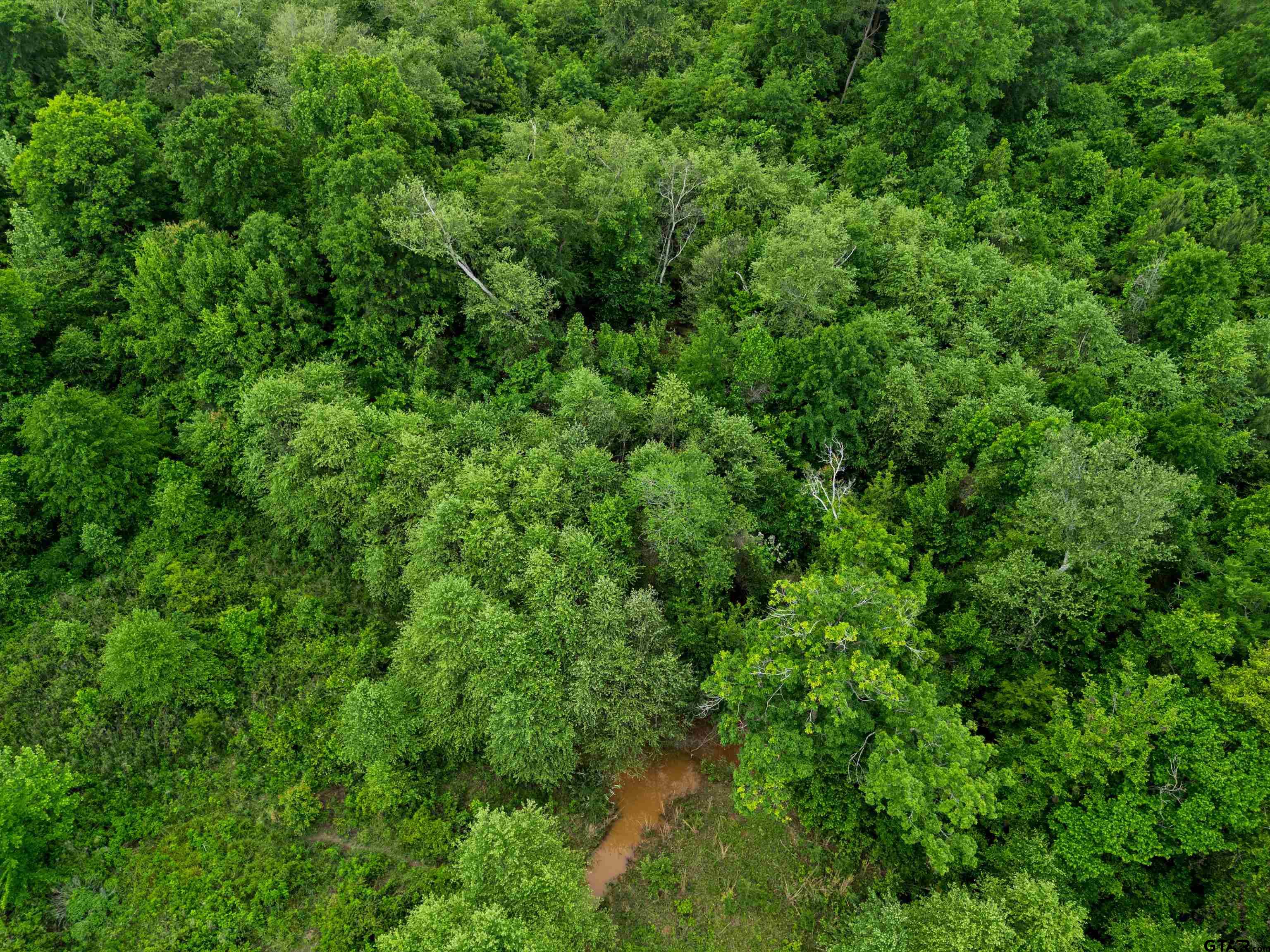 7086 State Highway 155 Gilmer, TX 75644 - Photo 28 of 48