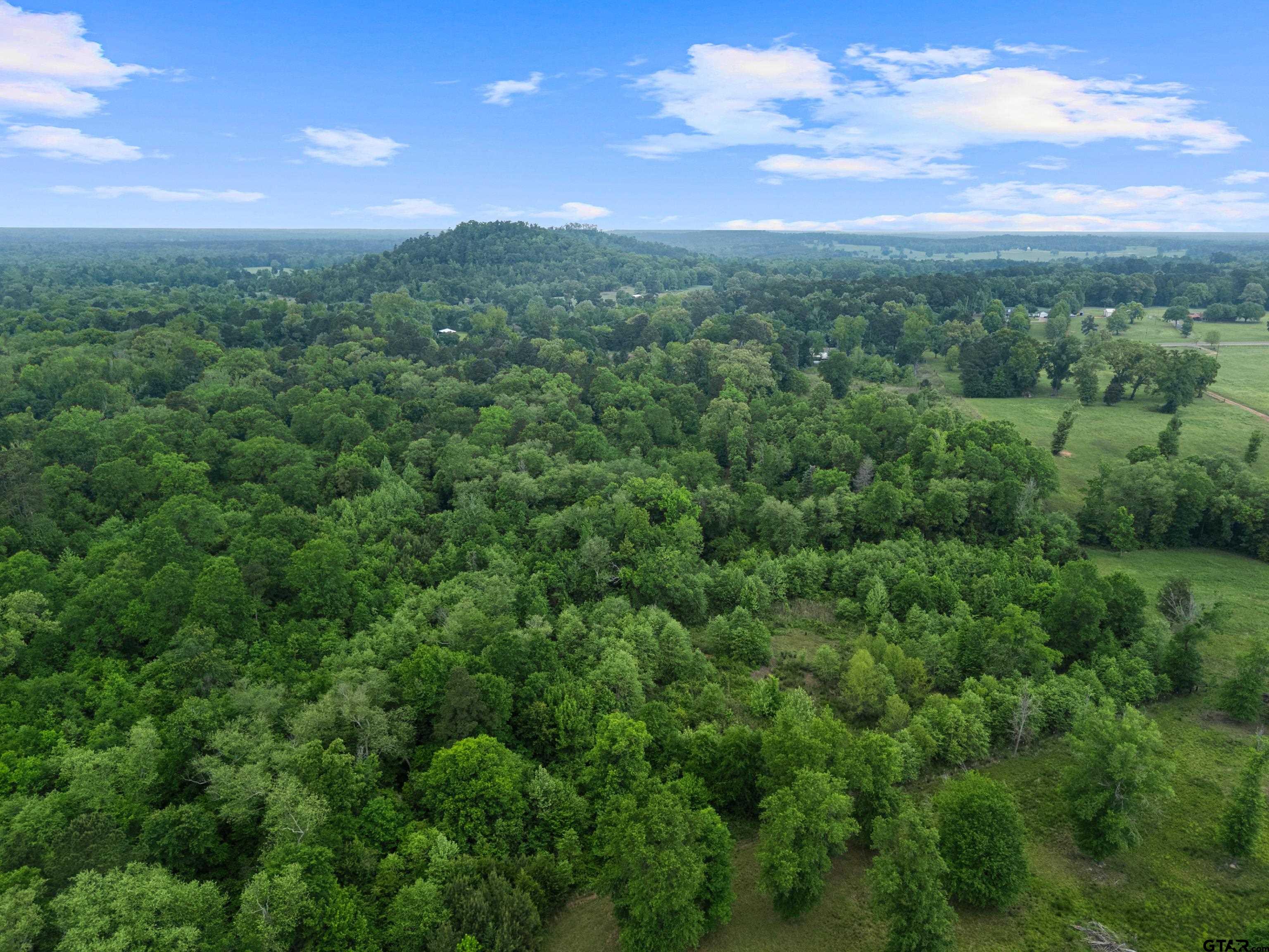 7086 State Highway 155 Gilmer, TX 75644 - Photo 29 of 48
