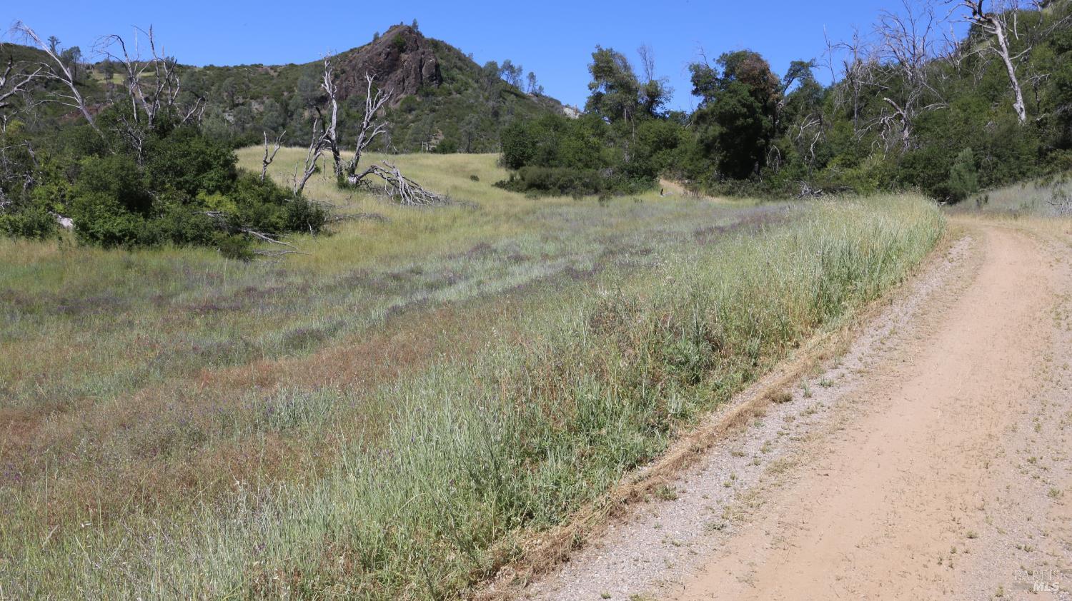 14130 Big Canyon Road Middletown, CA 95461 - Photo 28 of 62