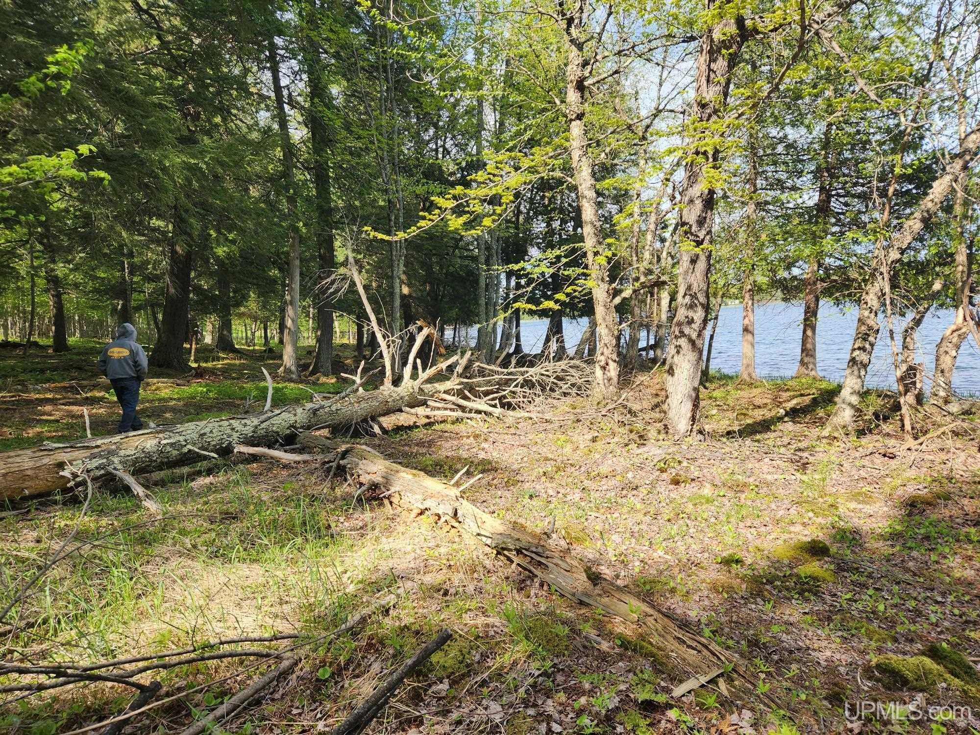 Lot 20 University Road Iron River, MI 49935 - Photo 6 of 23 Gallery Image 6