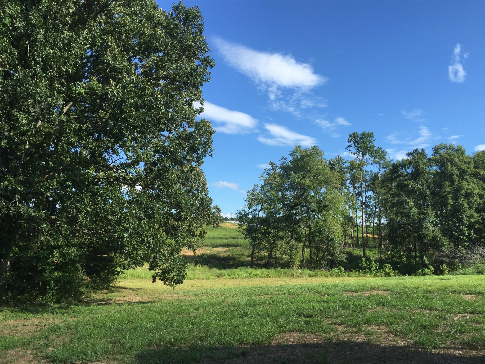 417 Kaiser Road Dickson, TN 37055 - Photo 2 of 30 a view of a golf course with a lake