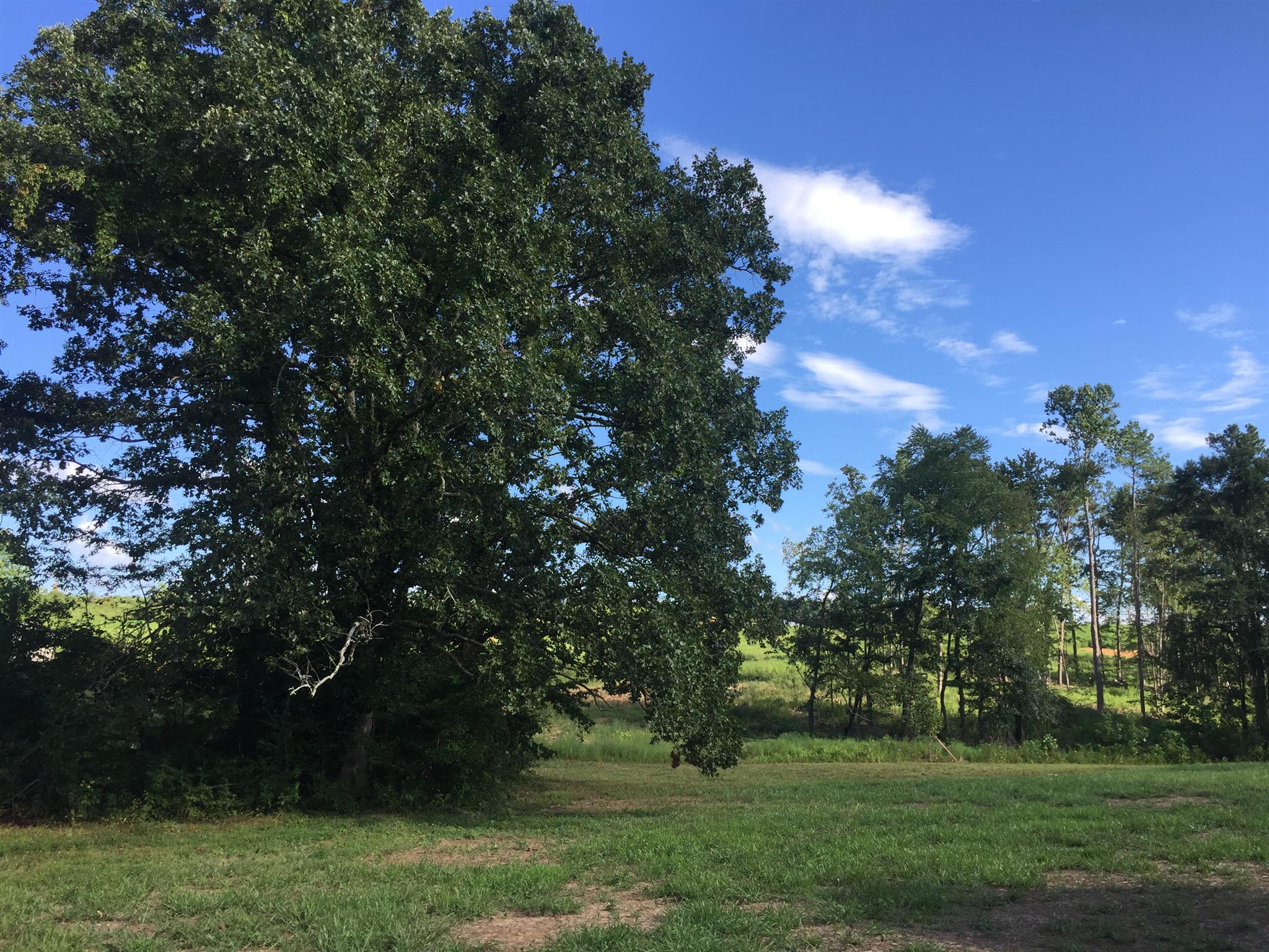 417 Kaiser Road Dickson, TN 37055 - Photo 29 of 30 a view of a park