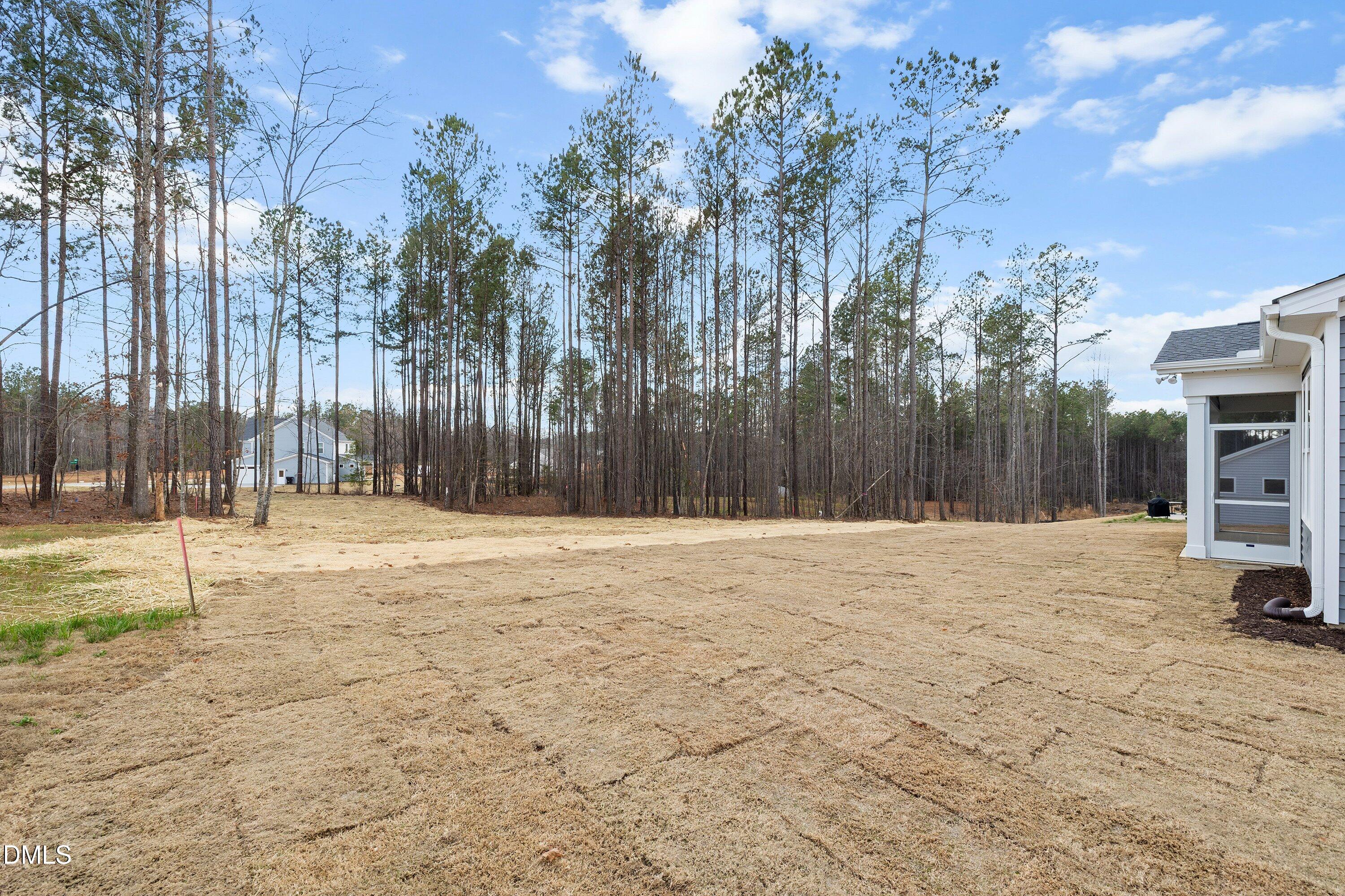 45 West Victoria Ridge Drive, Unit 32 Selma, NC 27576 - Photo 25 of 27 Flat backyard