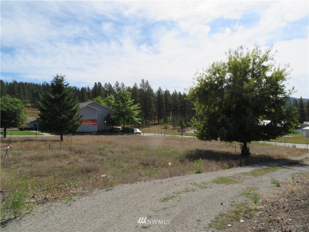 46 Klondike Road Republic, WA 99166 - Photo 22 of 23