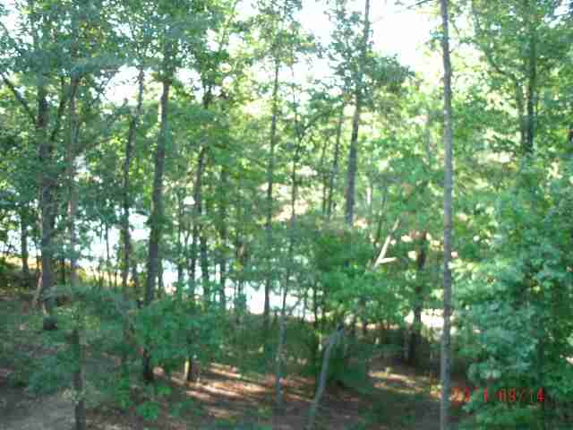 1118 Chandlers Ferry Road Hartwell, GA 30643 - Photo 5 of 12 Gallery Image 5