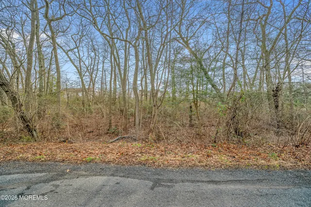 a view of a yard with trees