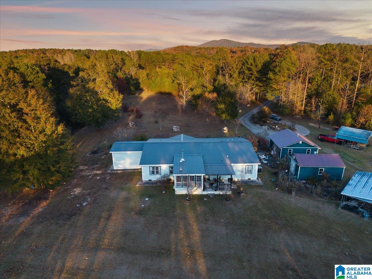 1660 Feddisburg Road Alpine, AL 35014 - Photo 4 of 39