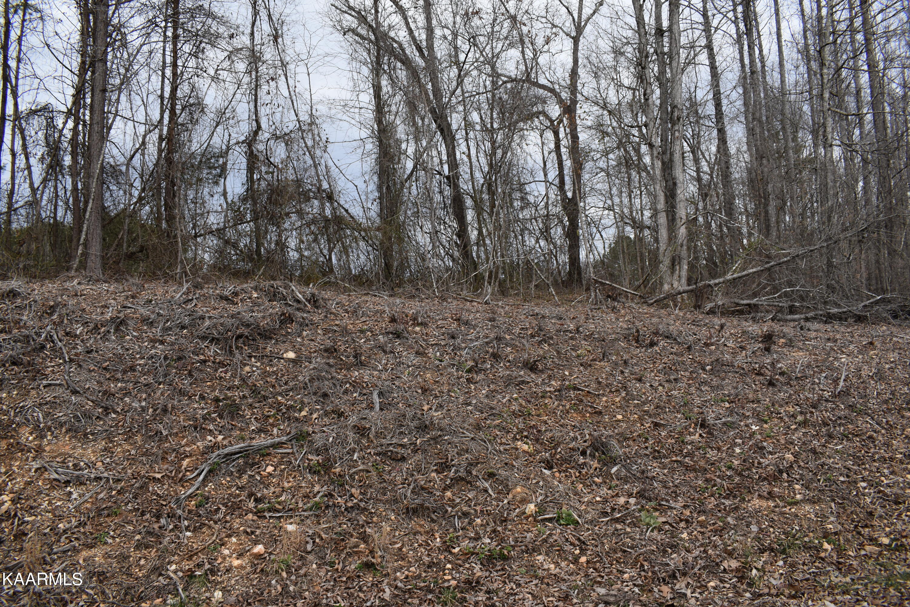 Lot 21 Jones Ridge Road Speedwell, TN 37870 - Photo 1 of 3 21 (2)