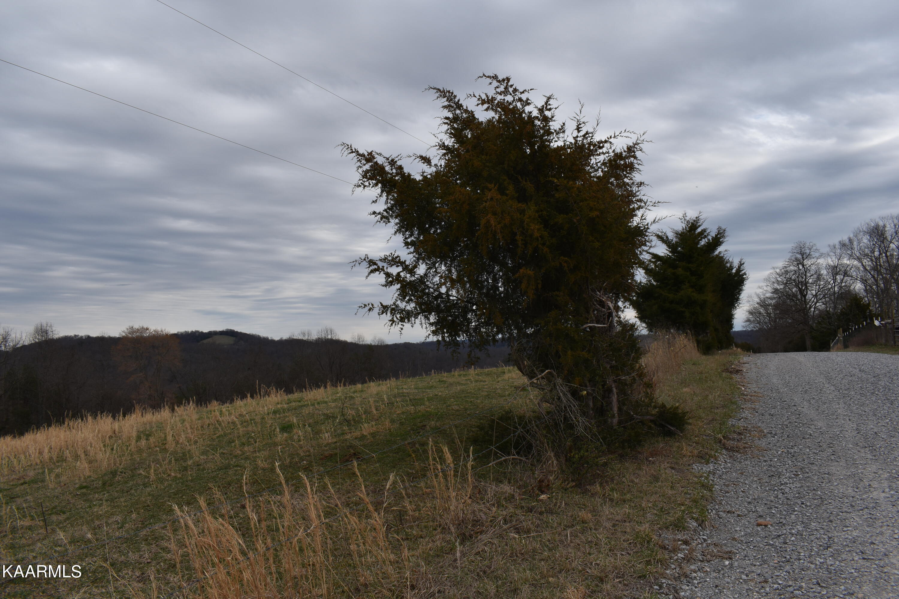 Lot 21 Jones Ridge Road Speedwell, TN 37870 - Photo 2 of 3 21