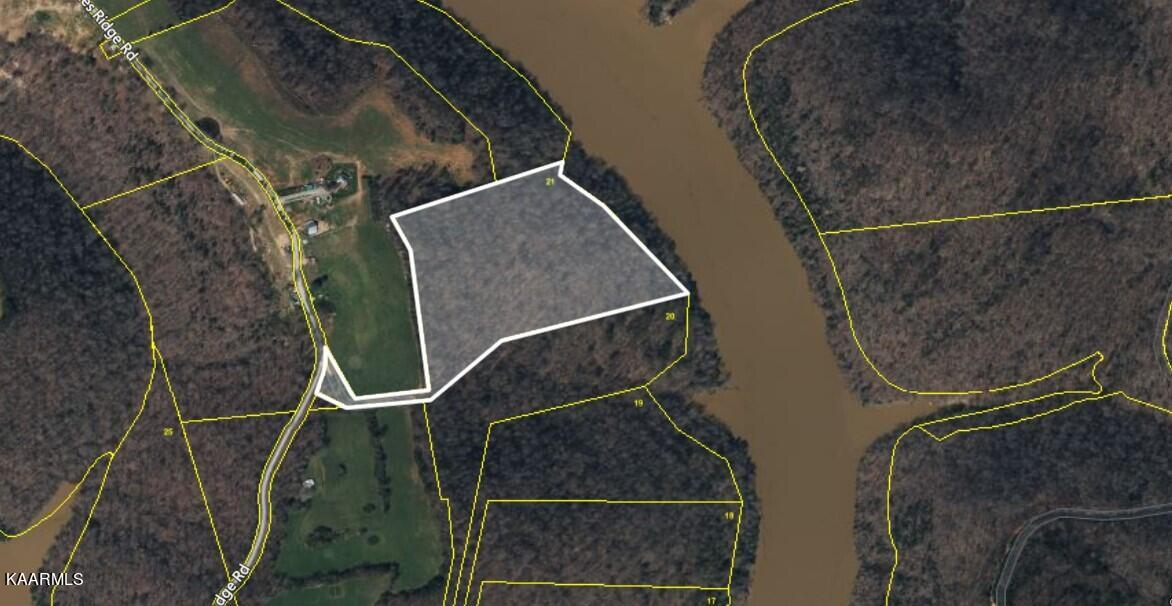 Lot 21 Jones Ridge Road Speedwell, TN 37870 - Photo 3 of 3 Lot 21