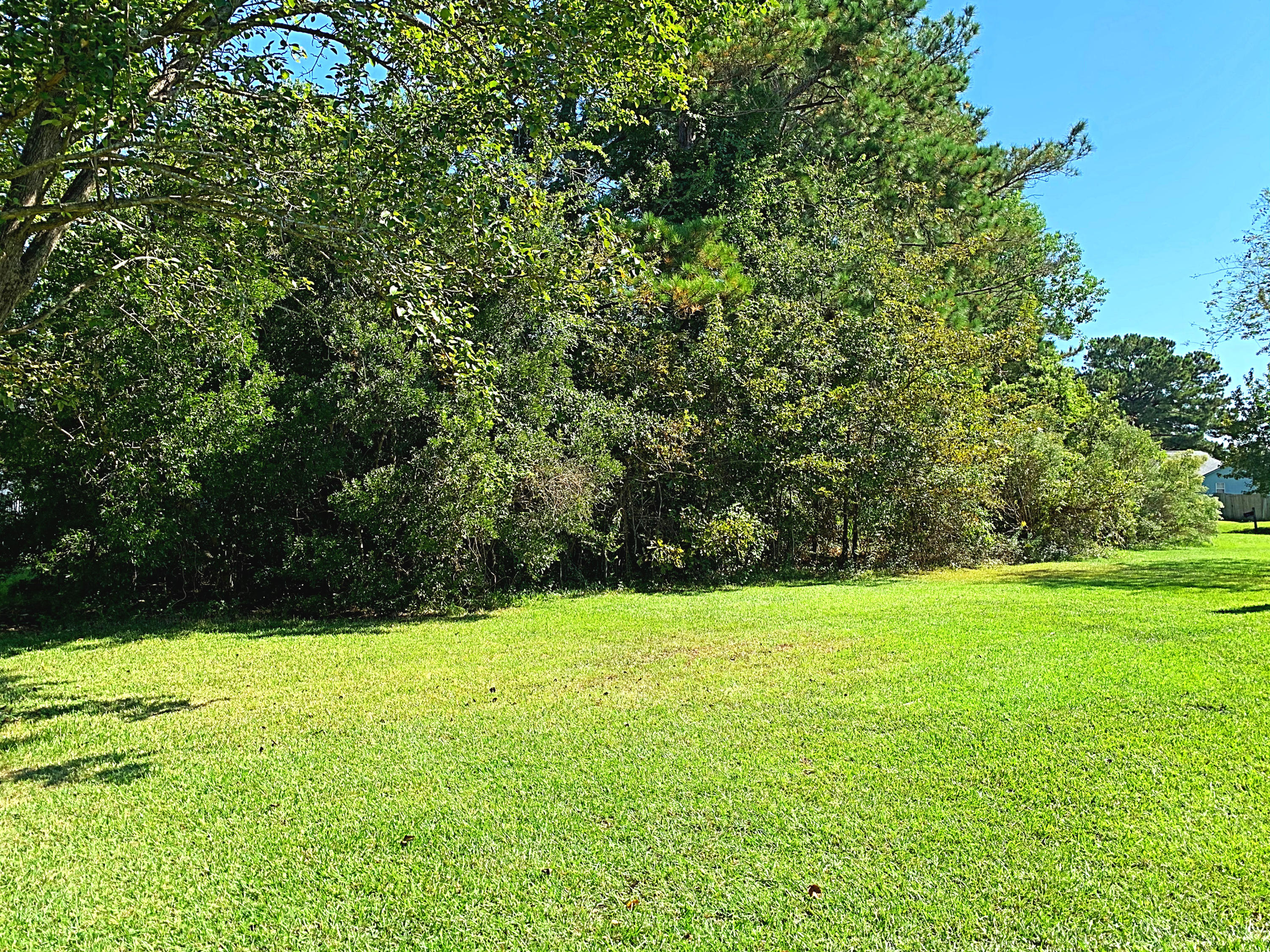 8429 Waltham Road North Charleston, SC 29406 - Photo 38 of 38 A25E3B6C-2A3C-440F-B730-65B33D903904
