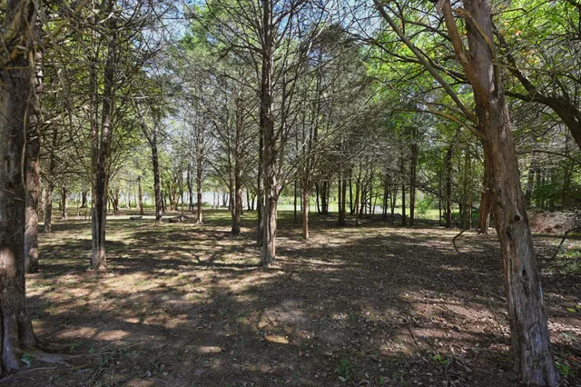 a view of back yard of the house