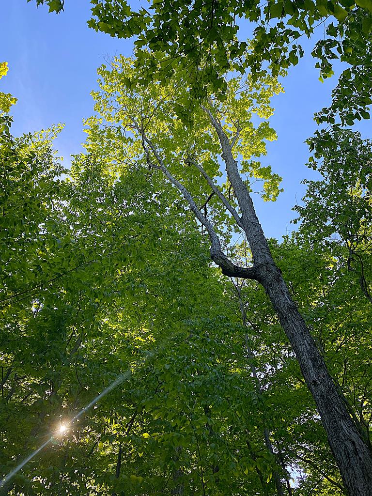 Tbd Garrett Bay Road Ellison Bay, WI 54210 - Photo 7 of 16