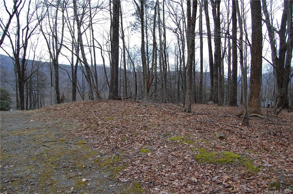 0 Cardinal Road, Unit 313 Lake Lure, NC 28746 - Photo 2 of 17 Gallery Image 2