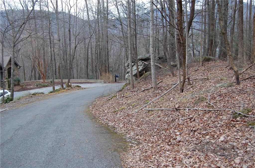 0 Cardinal Road, Unit 313 Lake Lure, NC 28746 - Photo 11 of 17 Gallery Image 11
