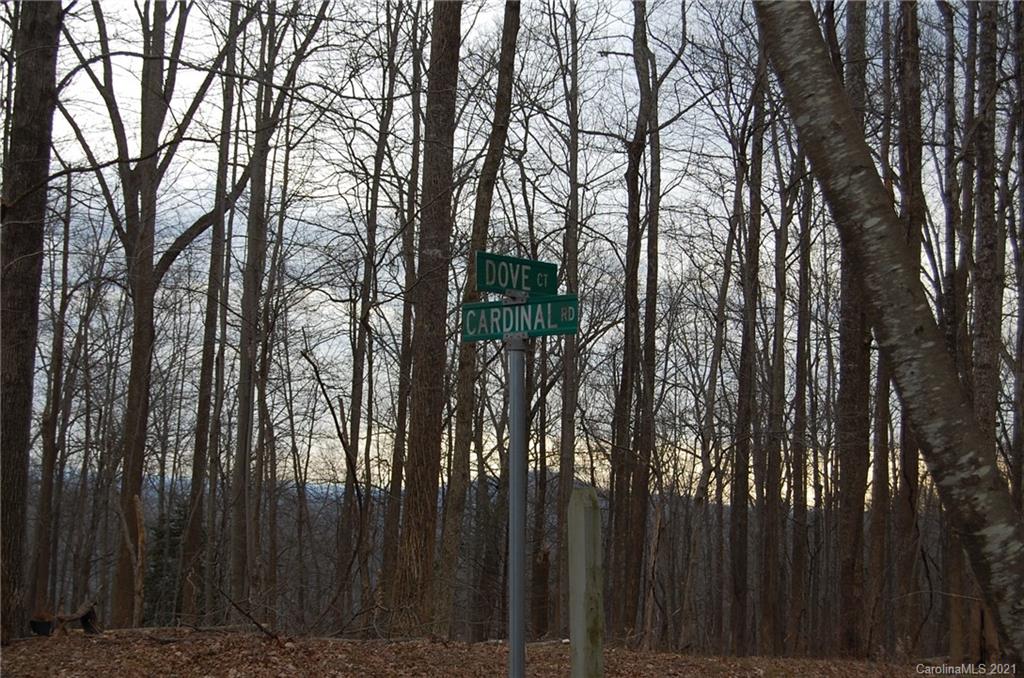 0 Cardinal Road, Unit 313 Lake Lure, NC 28746 - Photo 13 of 17 Gallery Image 13