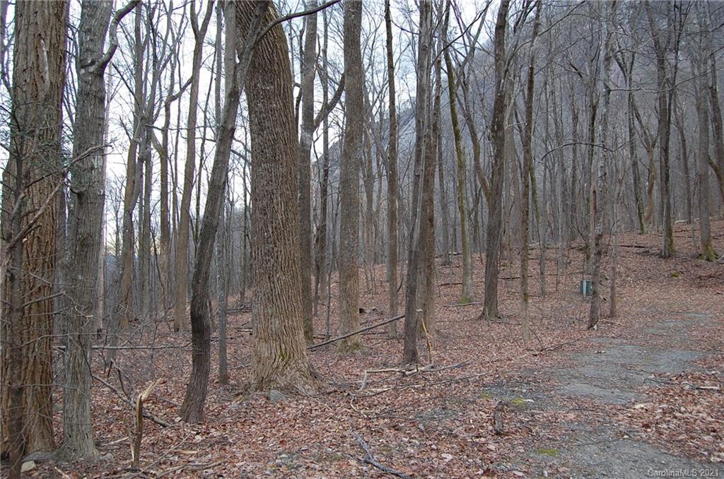 0 Cardinal Road, Unit 313 Lake Lure, NC 28746 - Photo 4 of 17 Gallery Image 4