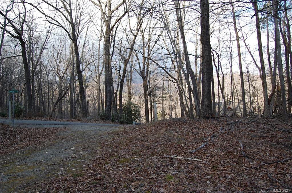 0 Cardinal Road, Unit 313 Lake Lure, NC 28746 - Photo 10 of 17 Gallery Image 10