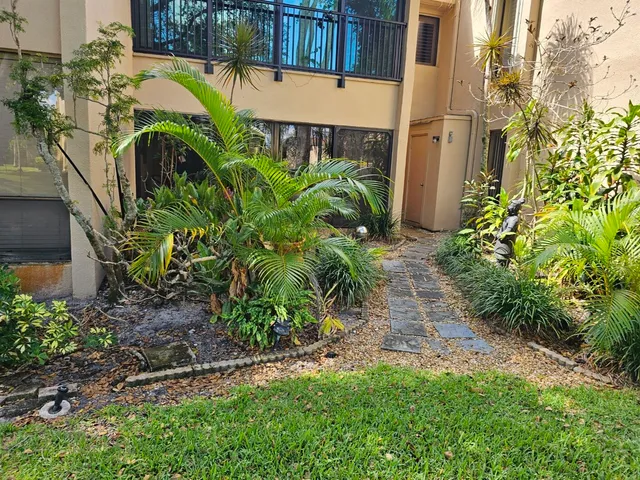 a view of a garden with plants