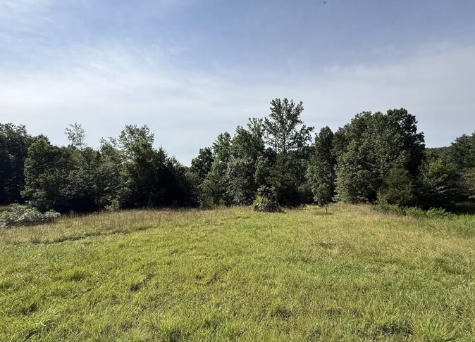 162 Tracy Road Hohenwald, TN 38462 - Photo 29 of 45
