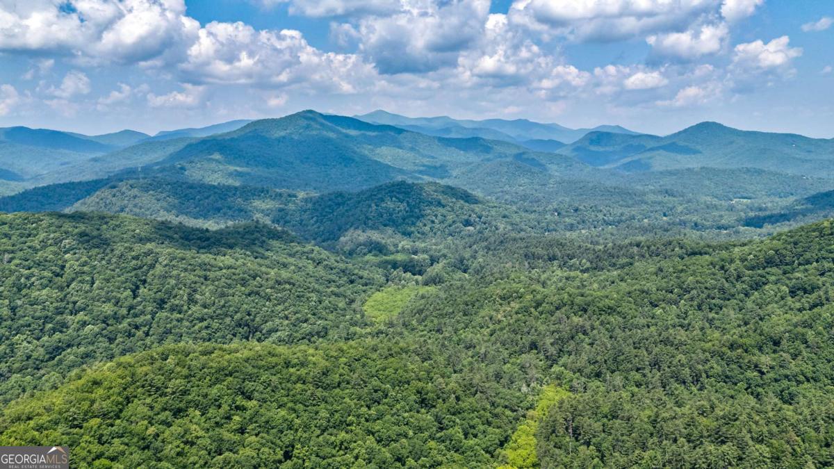 a view of a mountain in the distance in a field