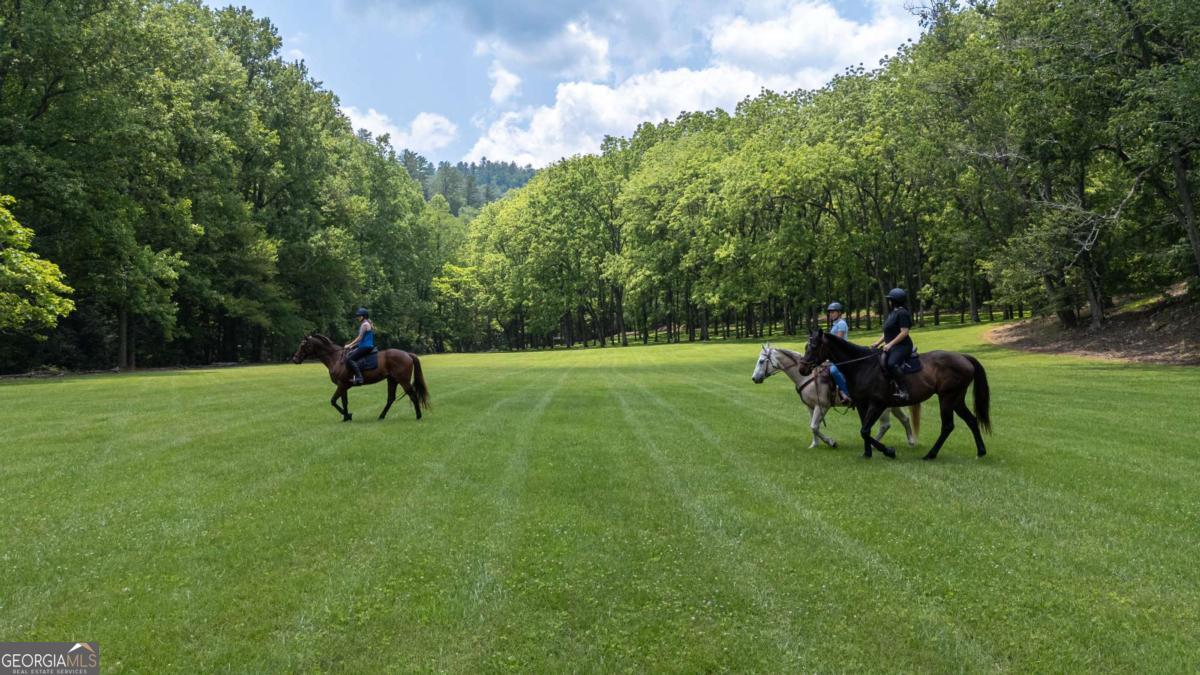 7320 Chestnut Valley Road Hiawassee, GA 30546 - Photo 11 of 91