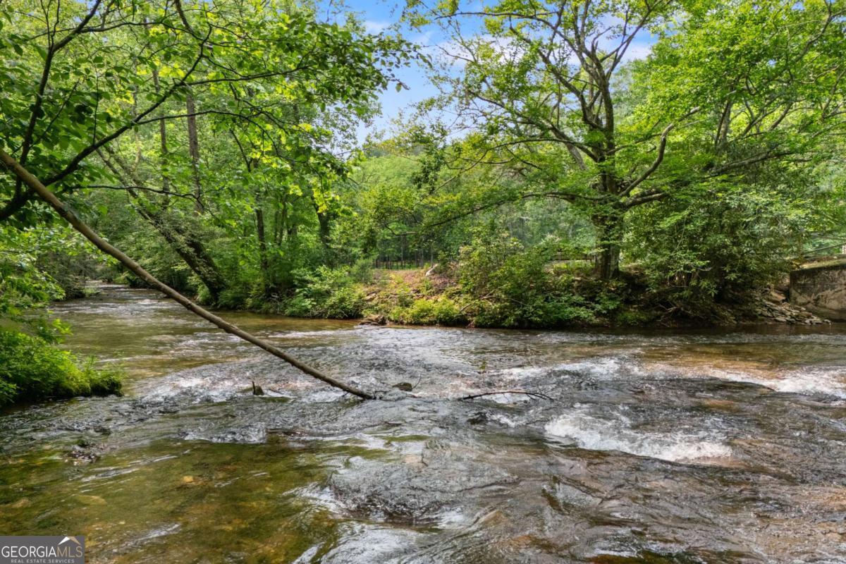 7320 Chestnut Valley Road Hiawassee, GA 30546 - Photo 15 of 91 a view of a yard with plants and large trees