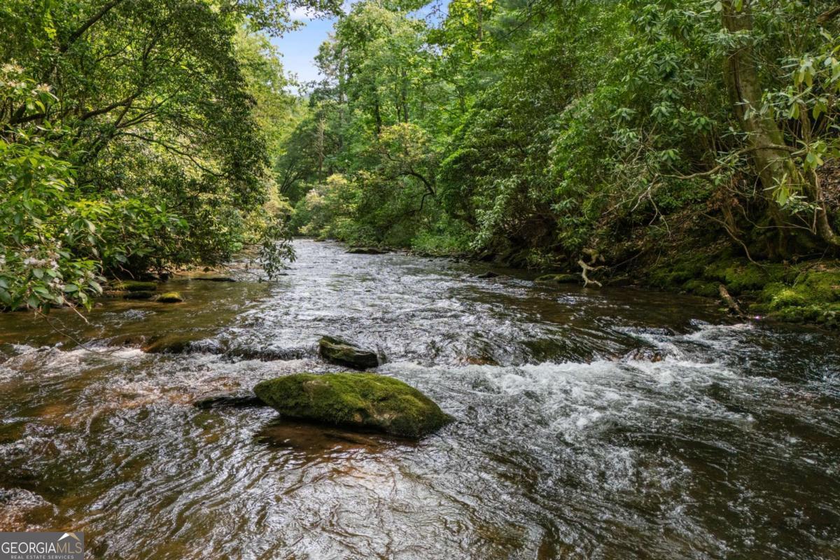 7320 Chestnut Valley Road Hiawassee, GA 30546 - Photo 18 of 91 a view of a backyard with plants and trees