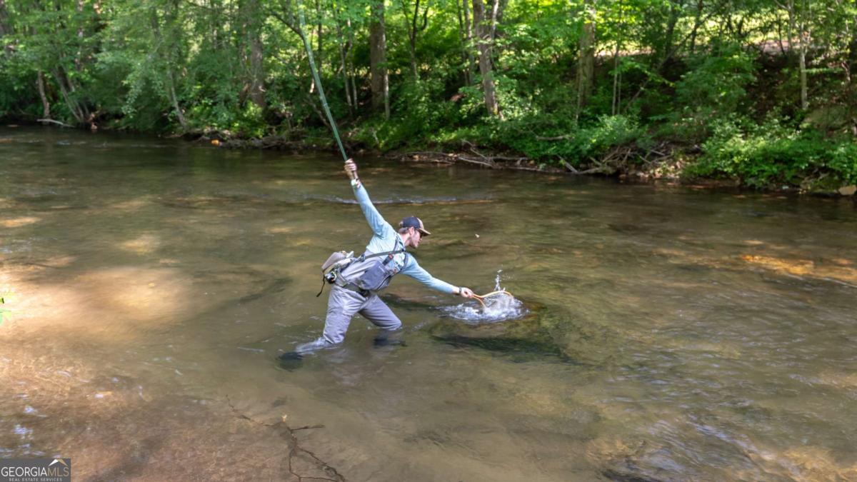 7320 Chestnut Valley Road Hiawassee, GA 30546 - Photo 19 of 91 a view of a lake with a slide
