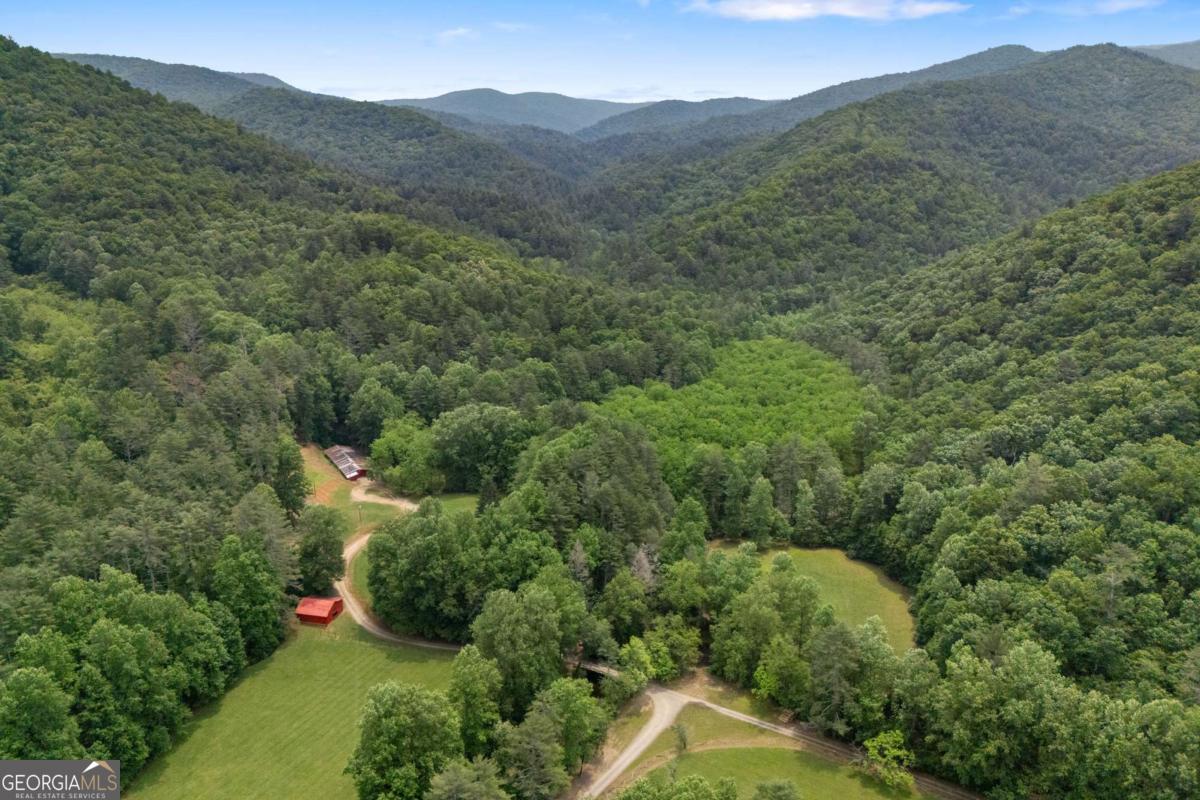 7320 Chestnut Valley Road Hiawassee, GA 30546 - Photo 2 of 91