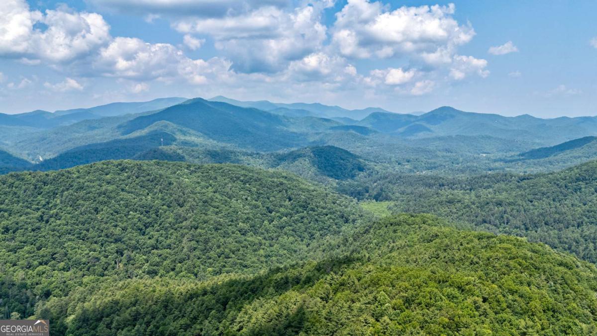 7320 Chestnut Valley Road Hiawassee, GA 30546 - Photo 3 of 91