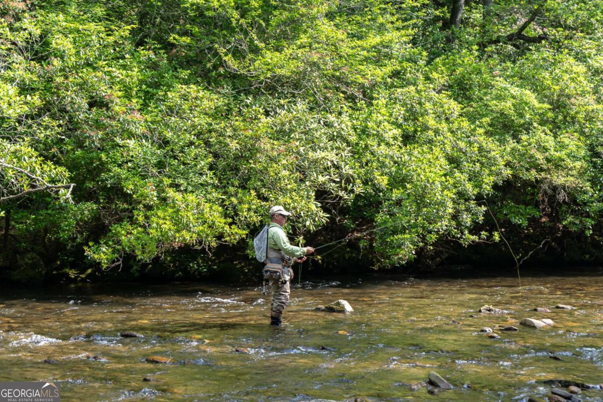 7320 Chestnut Valley Road Hiawassee, GA 30546 - Photo 33 of 91