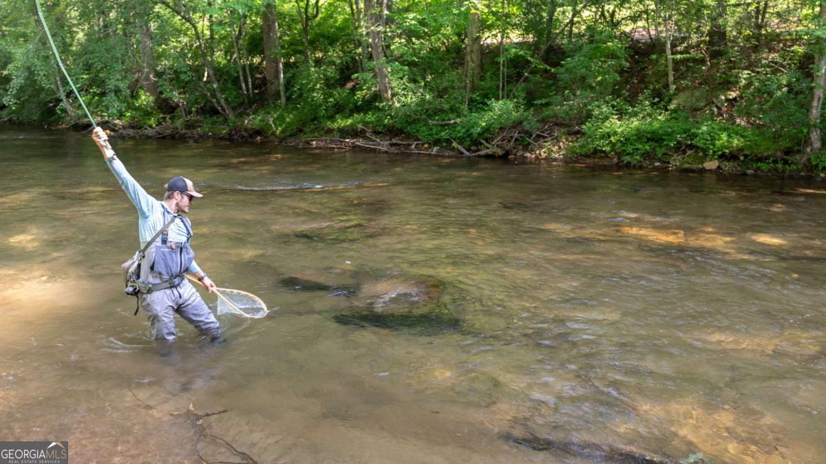 7320 Chestnut Valley Road Hiawassee, GA 30546 - Photo 37 of 91