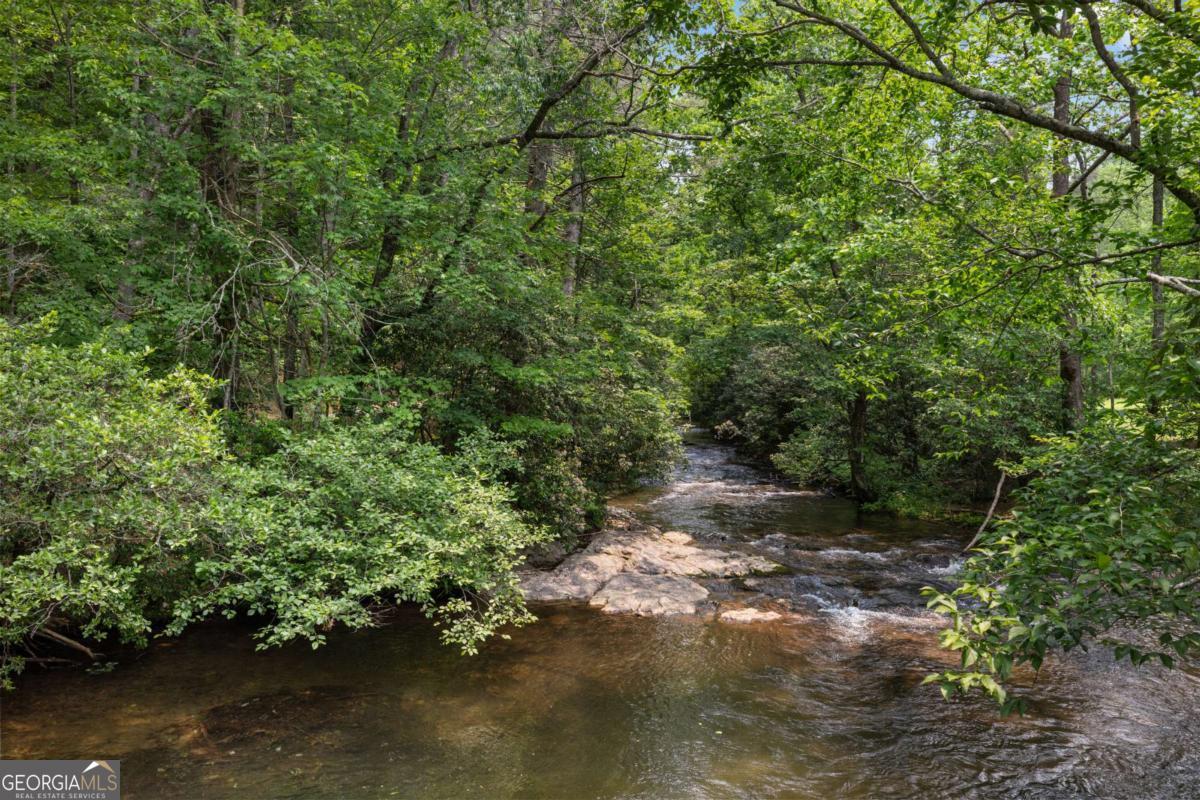 7320 Chestnut Valley Road Hiawassee, GA 30546 - Photo 39 of 91