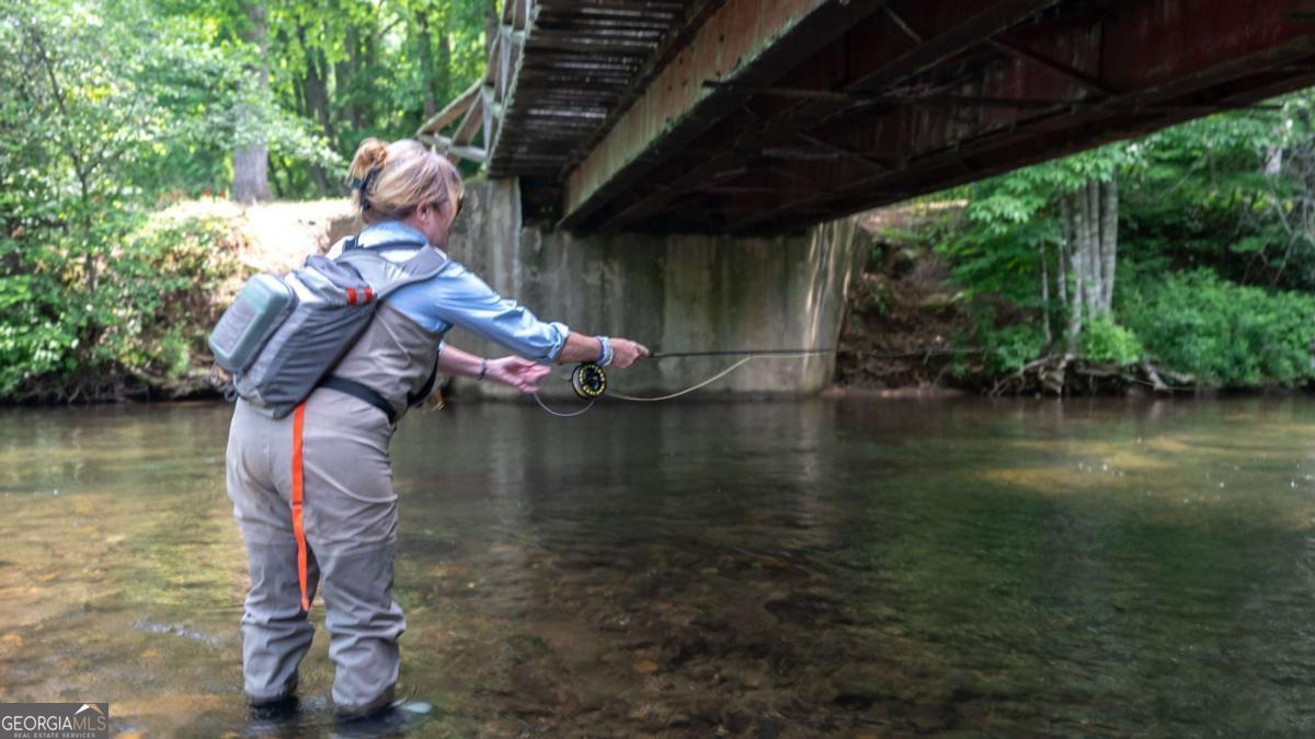 7320 Chestnut Valley Road Hiawassee, GA 30546 - Photo 41 of 91