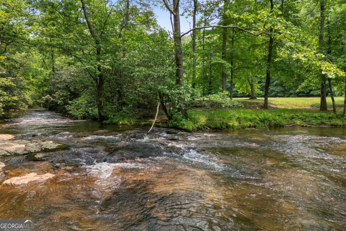 7320 Chestnut Valley Road Hiawassee, GA 30546 - Photo 43 of 91 a view of outdoor space with trees all around