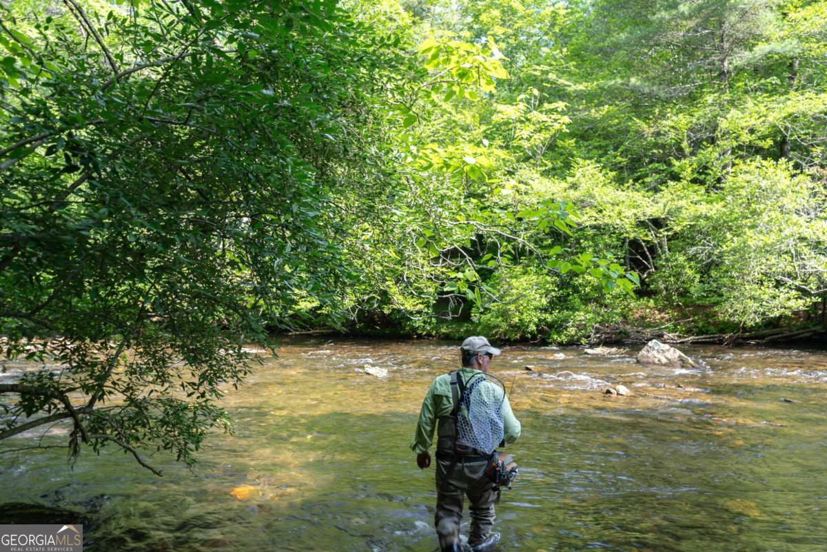 7320 Chestnut Valley Road Hiawassee, GA 30546 - Photo 44 of 91