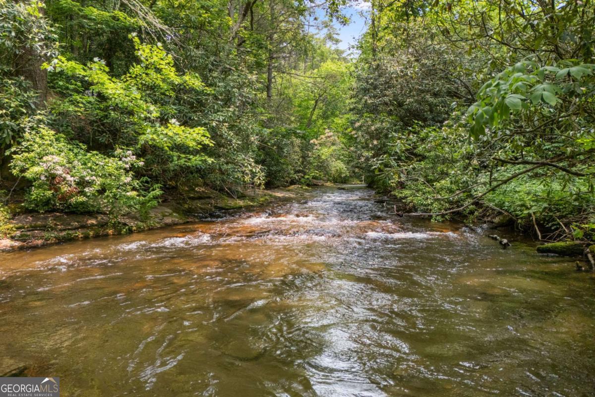 7320 Chestnut Valley Road Hiawassee, GA 30546 - Photo 45 of 91