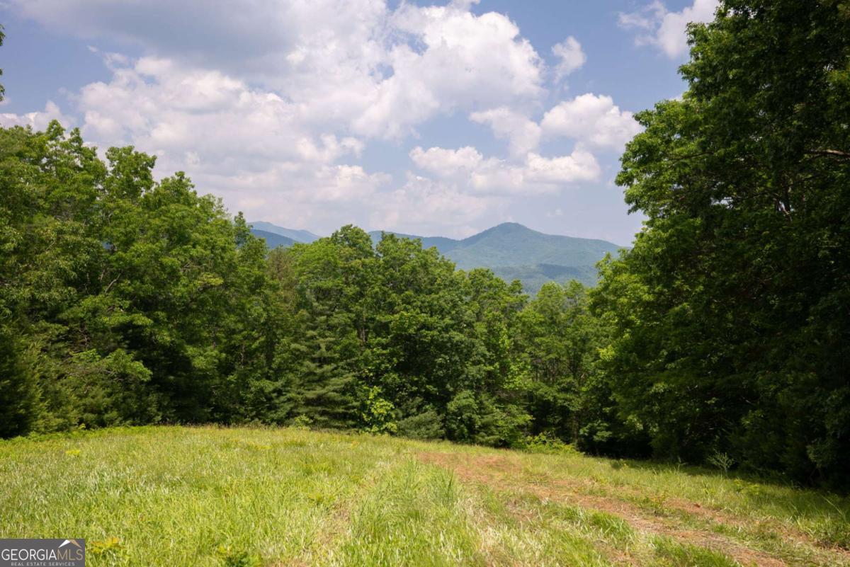 7320 Chestnut Valley Road Hiawassee, GA 30546 - Photo 47 of 91 a view of a yard with a tree