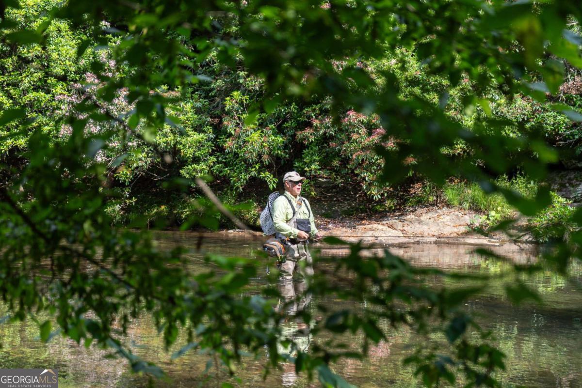 7320 Chestnut Valley Road Hiawassee, GA 30546 - Photo 49 of 91 a backyard of a house with a yard and large tree