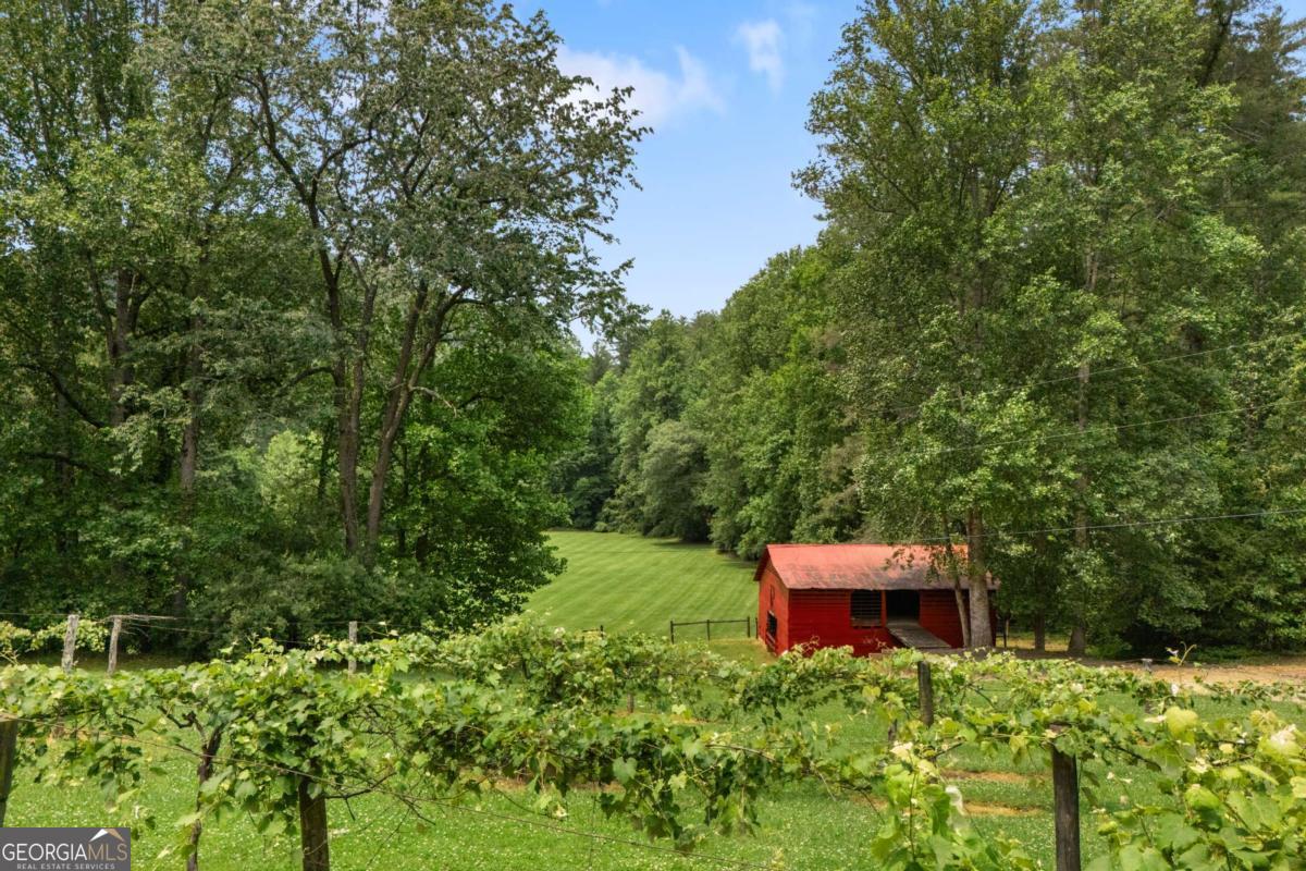 7320 Chestnut Valley Road Hiawassee, GA 30546 - Photo 50 of 91