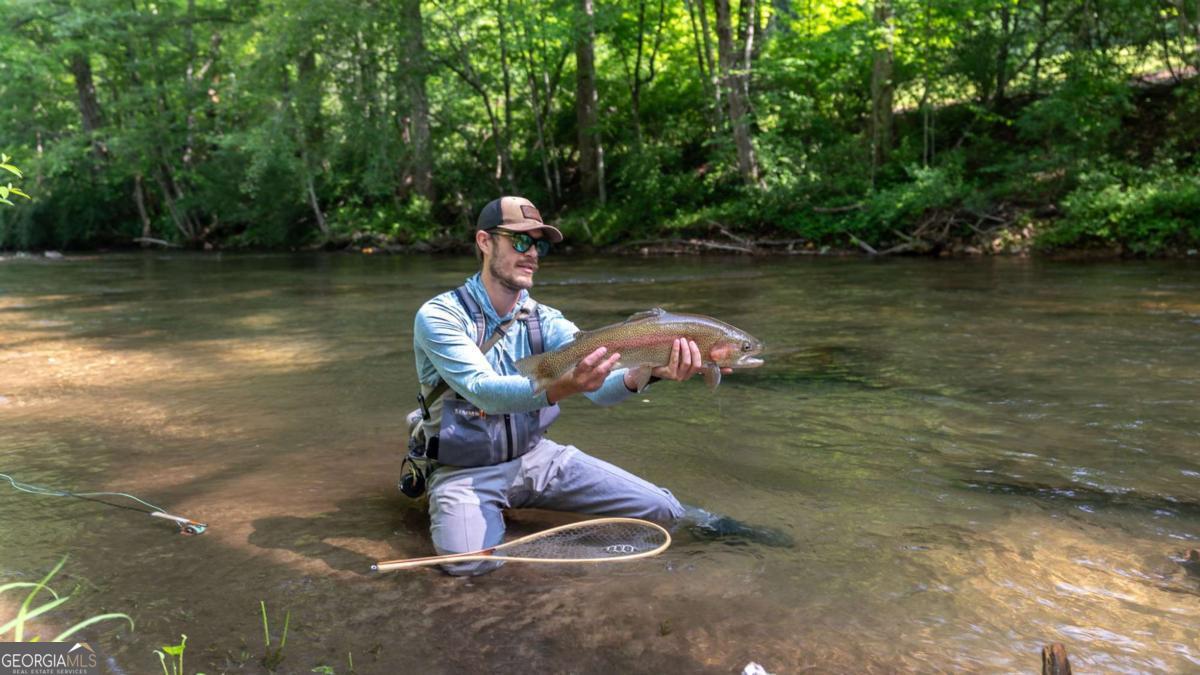 7320 Chestnut Valley Road Hiawassee, GA 30546 - Photo 5 of 91